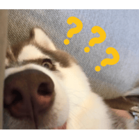 sticker image #30