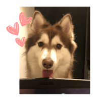 sticker image #6