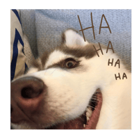 sticker image #8