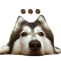 sticker image #9