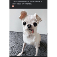 tray_icon