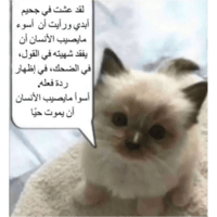 sticker image #25