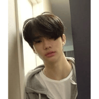 Sticker Maker - Hyunjin Meme Face