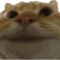 sticker image #6