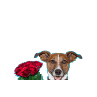 sticker image #22