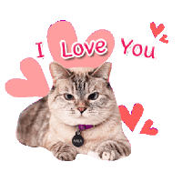 sticker image #5