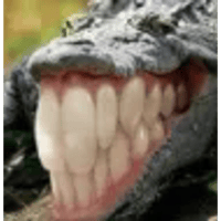 sticker image #4