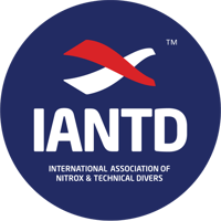tray_icon