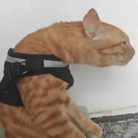 sticker image #19