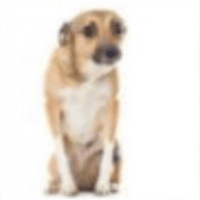 sticker image #4