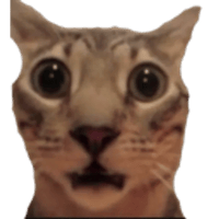 sticker image #2