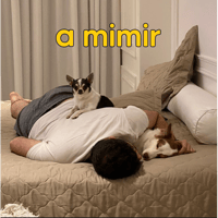 sticker image #6