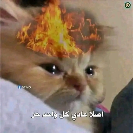 tray_icon #87533 sticker_pack