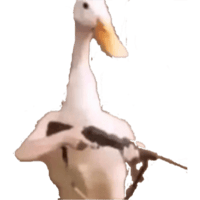 sticker image #18