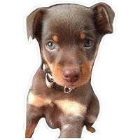 sticker image #6