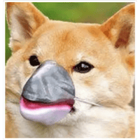 sticker image #8