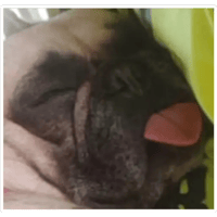 sticker image #11