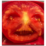 tray_icon