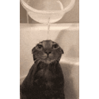 sticker image #27
