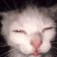sticker image #26