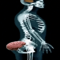 sticker image #3