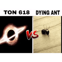 sticker image #23