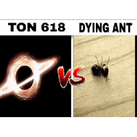 sticker image #27
