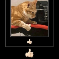 sticker image #19