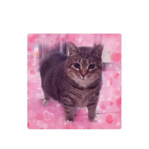 tray_icon #130237 sticker_pack