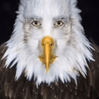 sticker image #13