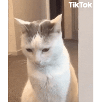sticker image #29