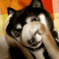 sticker image #7