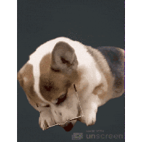 sticker image #9