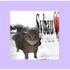 tray_icon #128604 sticker_pack