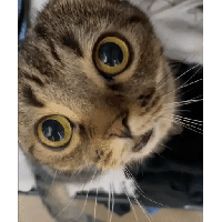 sticker image #10