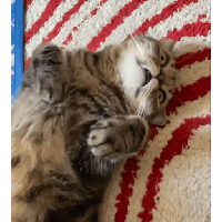 sticker image #11