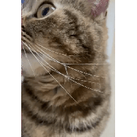 sticker image #16