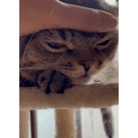 sticker image #17