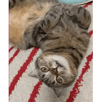 sticker image #18