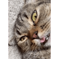 sticker image #4