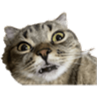 tray_icon