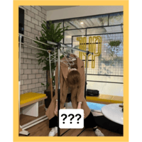 sticker image #21