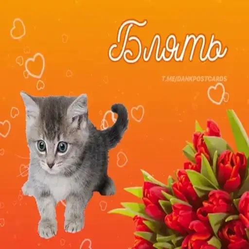 sticker image #17