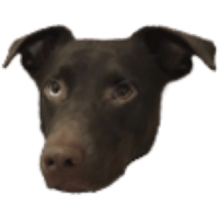 sticker image #15