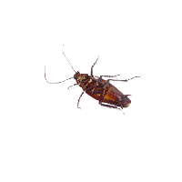 sticker image #19