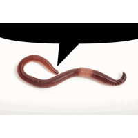sticker image #20