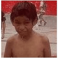 tray_icon