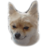 sticker image #1