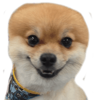 sticker image #2
