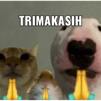 sticker image #23